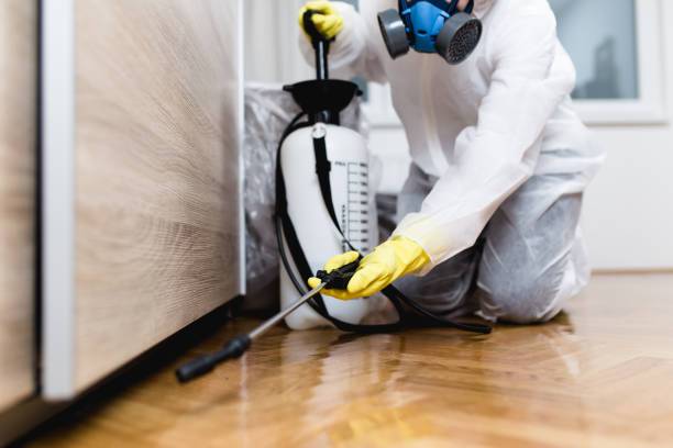 Best Pest Prevention Services  in Akron, PA