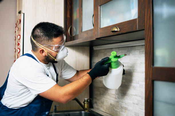 Best Bed Bug Extermination  in Akron, PA