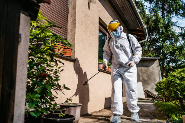 Best Spider Control Near Me  in Akron, PA