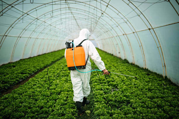 Best Affordable Pest Control Services  in Akron, PA