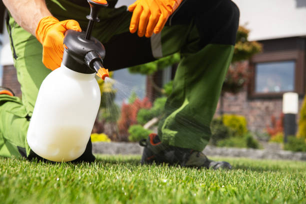 Best Local Pest Control Services  in Akron, PA