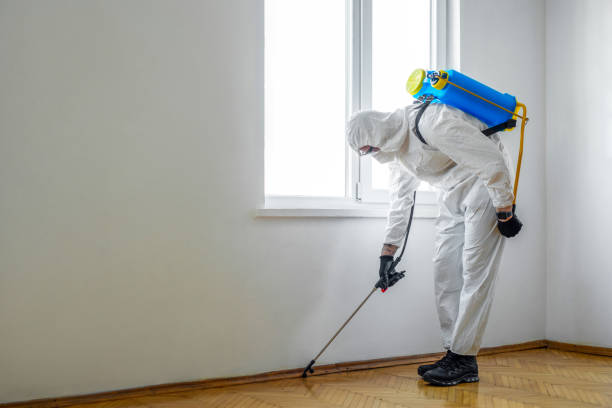 Best Pest Removal Services  in Akron, PA