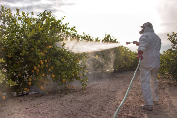 Best Termite Control Services  in Akron, PA