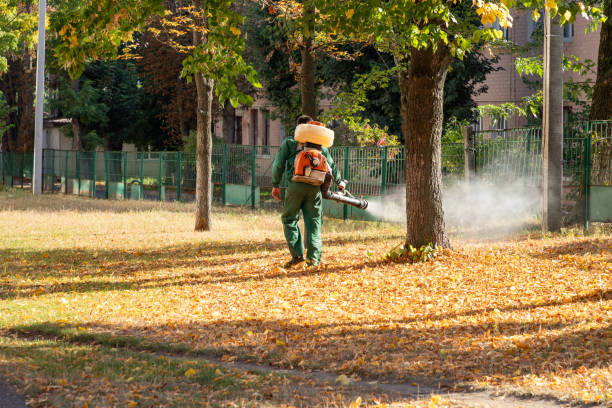 Best Emergency Pest Control  in Akron, PA
