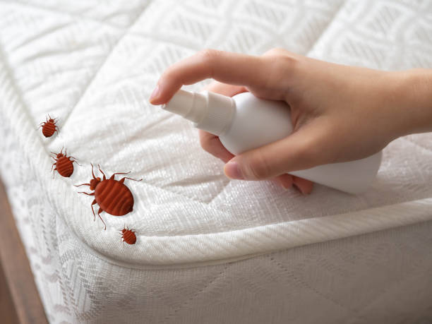 Best Pest Removal Services  in Akron, PA