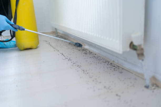 Best Exterminator Services  in Akron, PA