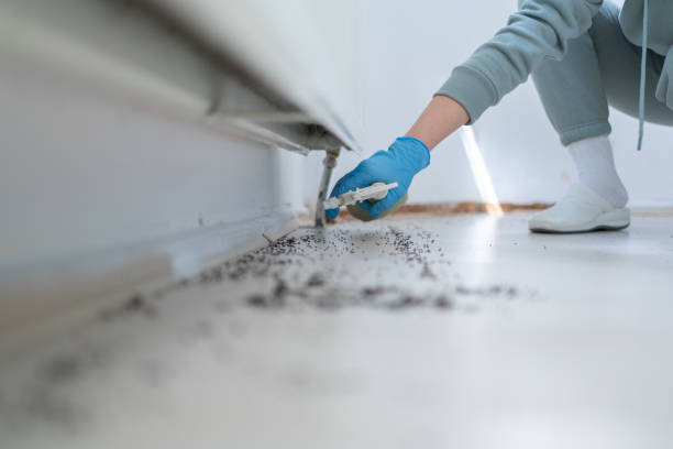 Best Pest Removal Services  in Akron, PA