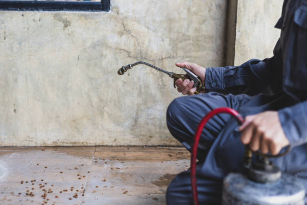 Best Best Pest Control Companies  in Akron, PA
