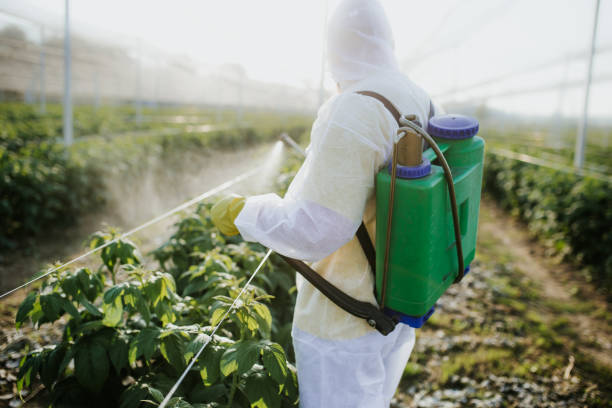Best Best Pest Control Companies  in Akron, PA